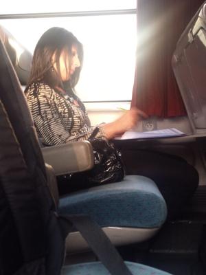 [NN] hot milf in train