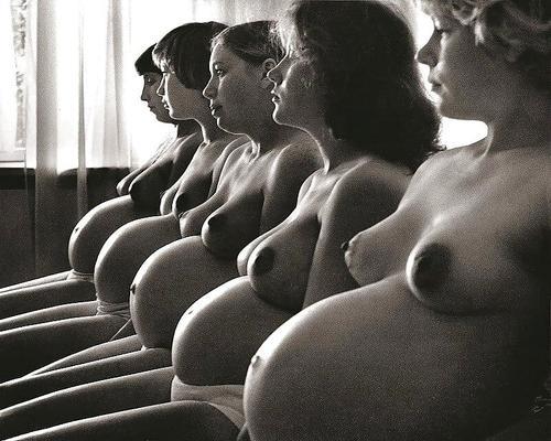 Group pregnancy