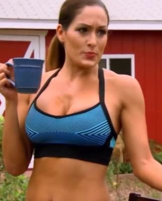 Трибьют для Nikki Bella Fap