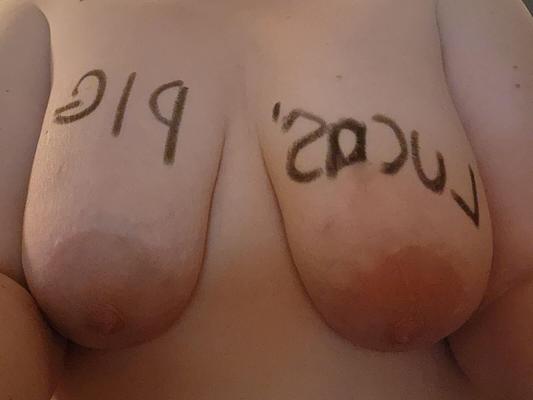 Моя свинья лучше твоей, kik: piggypervsub